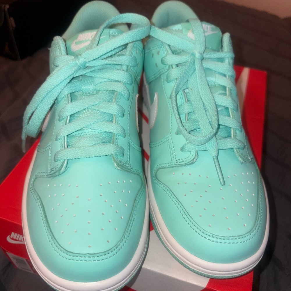 Nike Dunk Low 6Y
